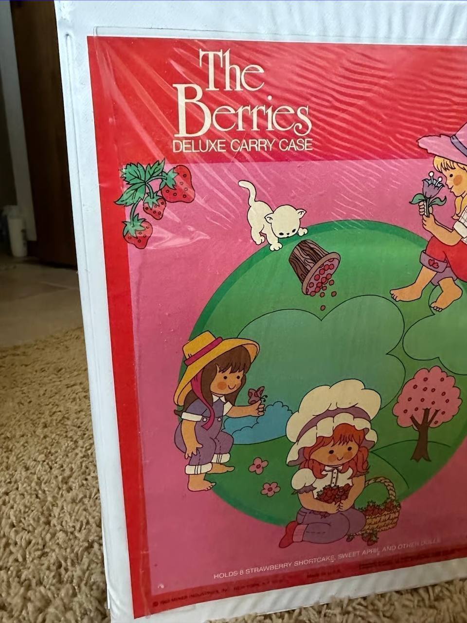 Vintage Strawberry Shortcake Deluxe Carry Cases – 1980s with Characters, Pets & Accessories