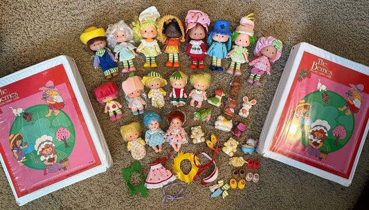 Vintage Strawberry Shortcake Deluxe Carry Cases – 1980s with Characters, Pets & Accessories